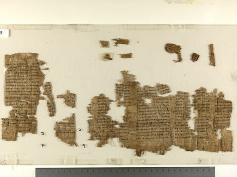 papyrus, image 2/2