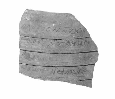 ostracon, image 2/2