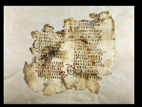 feuillet de codex ; fragment, image 5/5