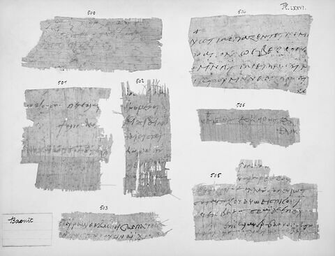 papyrus documentaire ; fragment