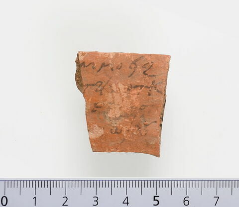 ostracon ; fragment