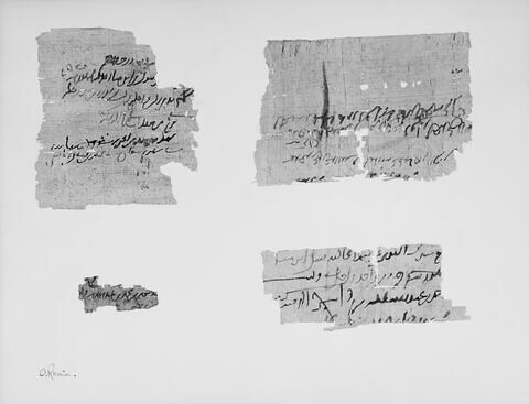 papyrus documentaire