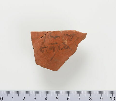 ostracon ; fragment