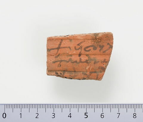 ostracon ; fragment