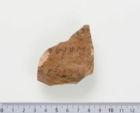 ostracon ; fragment