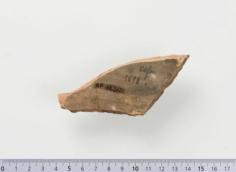 ostracon ; fragment