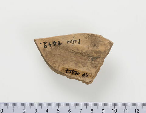 ostracon ; fragment