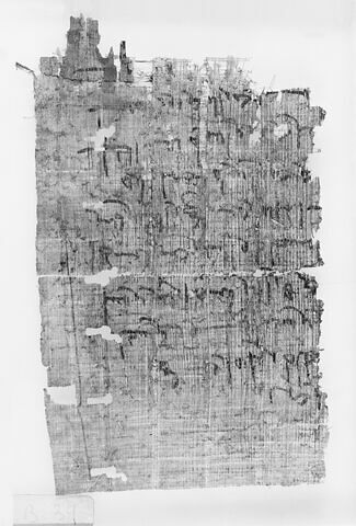 papyrus documentaire, image 2/2