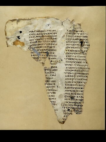 Codex Sa 105