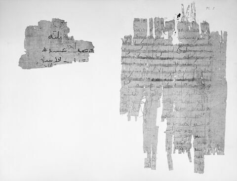 papyrus documentaire