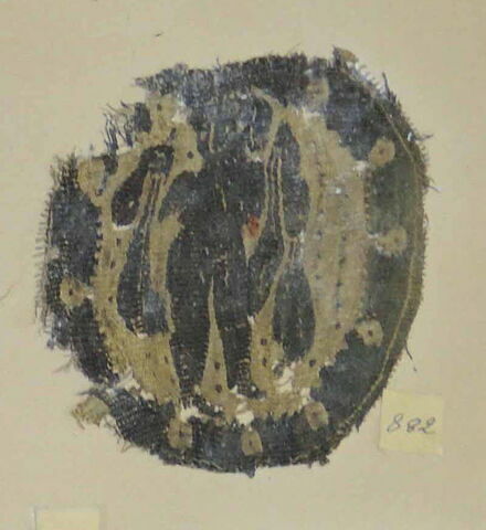 orbiculus, image 2/2