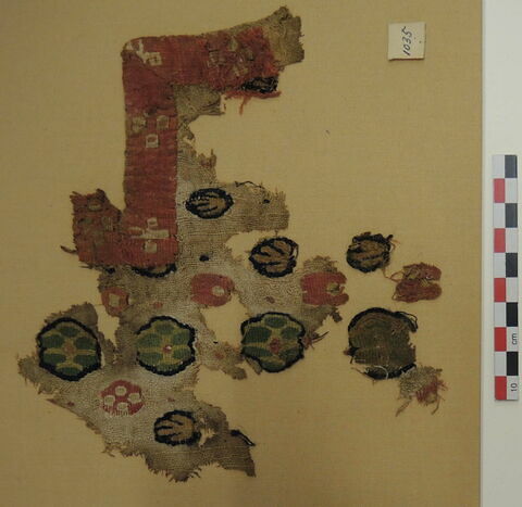 tunique ; fragments