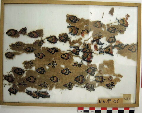 tunique  ; fragments, image 2/2