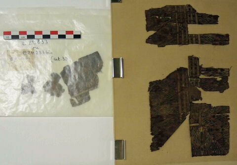 bande d'encolure ; fragments, image 2/3