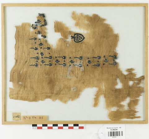 tunique  ; fragment