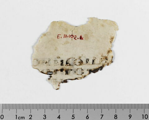 feuillet de codex ; fragment, image 2/5