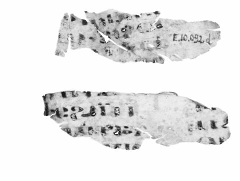 feuillet de codex ; fragments, image 5/5