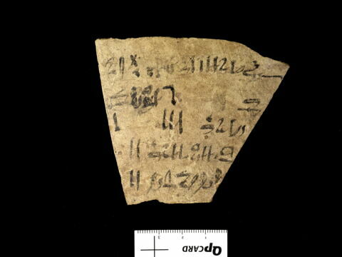 ostracon