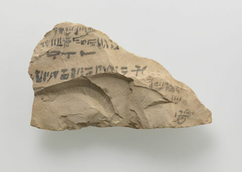 ostracon, image 2/4