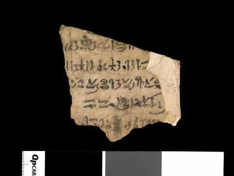 ostracon, image 1/1