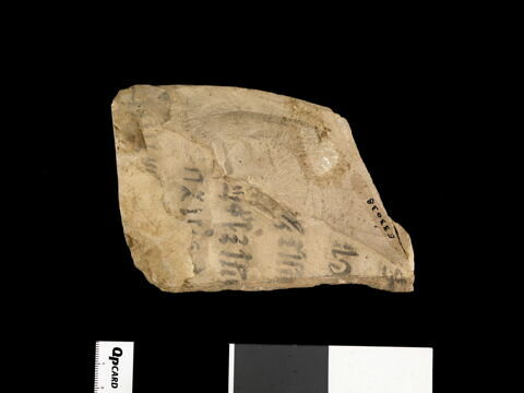 ostracon, image 2/2