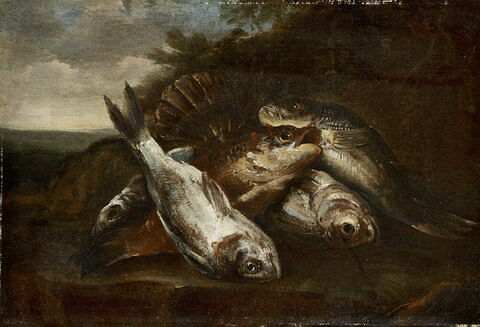 Nature morte aux carpes