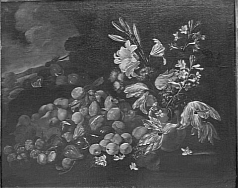 Fruits et fleurs, image 8/8