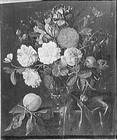 Fleurs, image 7/7