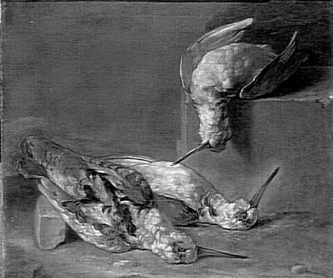 Nature morte aux bécasses, image 9/9