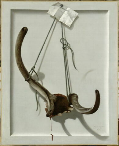 Bois de cerf à sa deuxième tête de velours chassé par le Roi à Saint-Hubert le 10 juin 1767.