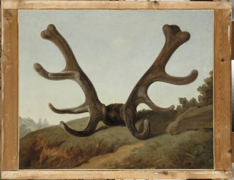 Tête d'un cerf attaqué par l'équipage du Roi au Bois Guérin, le 1er juin 1778