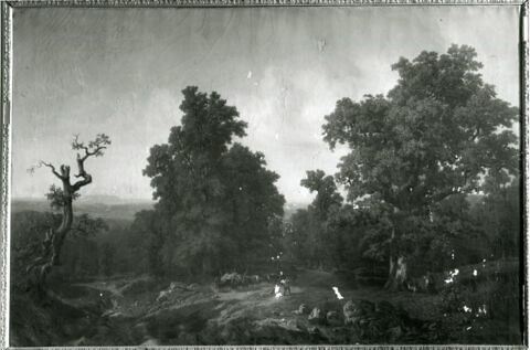 Vue prise dans les Ardennes aux environs de Givet