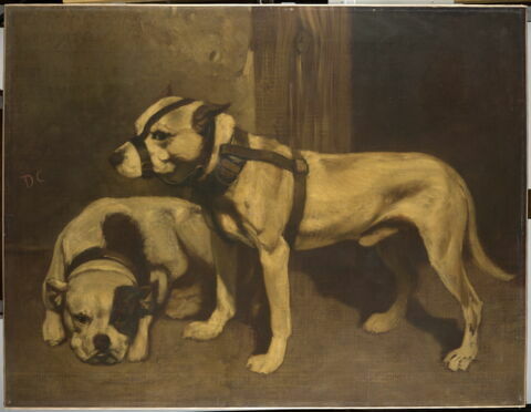 Bouledogue et terrier écossais.