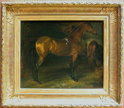 Cheval espagnol dans une écurie, image 3/3