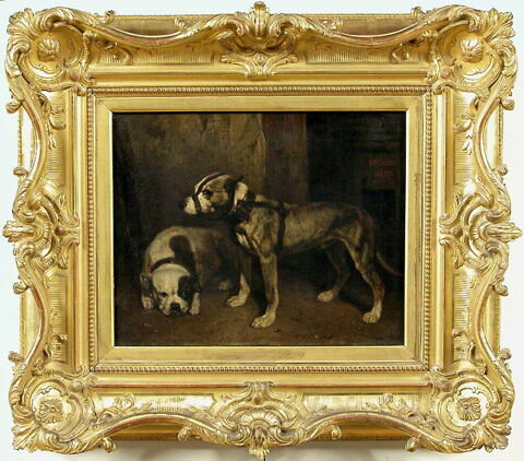 Bouledogue et terrier écossais, image 3/3