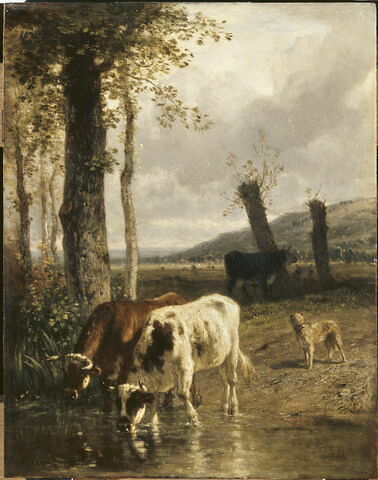 Vaches à l'abreuvoir, image 3/3