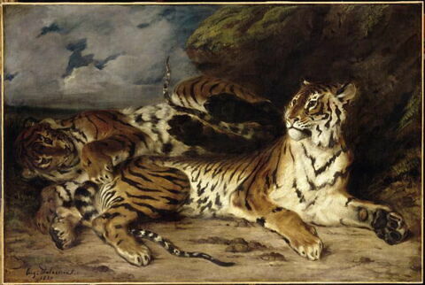 Jeune Tigre jouant avec sa mère, dit aussi Étude de deux tigres, image 6/6