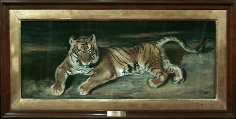 Tigre couché, image 3/3