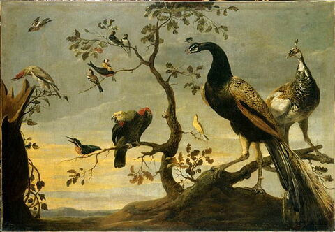 Concert d'oiseaux perchés sur des branches, image 2/2