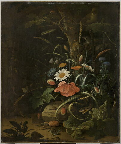 Fleurs, oiseaux, insectes et serpents, souris, lézard et grenouille