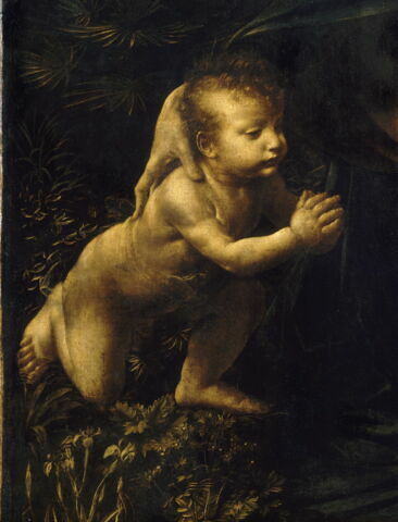 La Vierge, l'Enfant Jésus, saint Jean Baptiste et un ange, dit La Vierge aux rochers, image 11/17