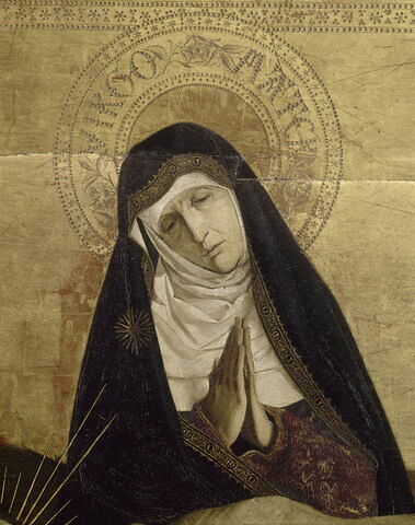 Pietà de Villeneuve-lès-Avignon, image 11/17