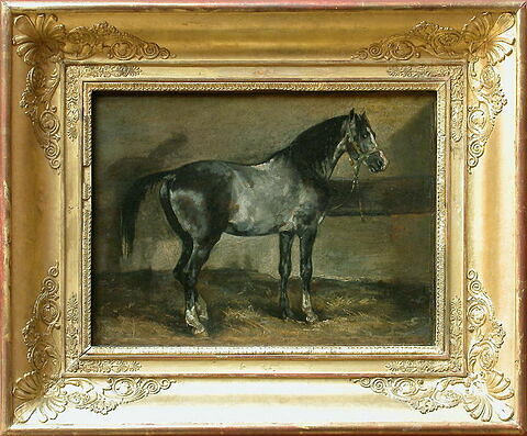 Cheval gris au râtelier, image 2/3