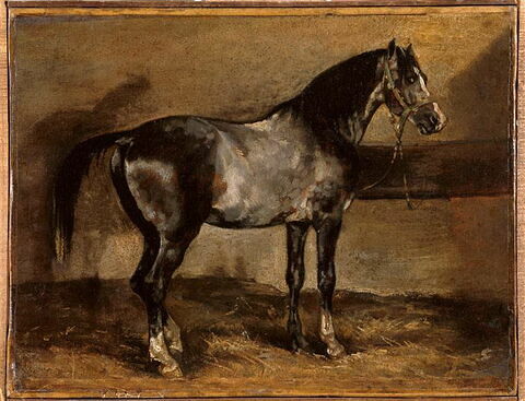 Cheval gris au râtelier, image 3/3