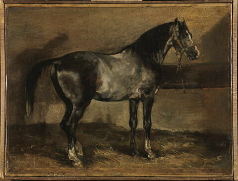 Cheval gris au râtelier