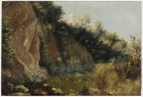 À Nemi: rochers et buissons, image 3/3