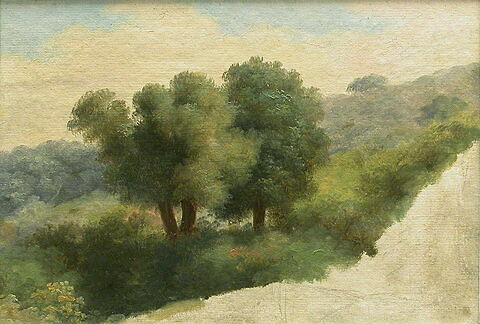 Nemi: Les trois arbres, image 2/2