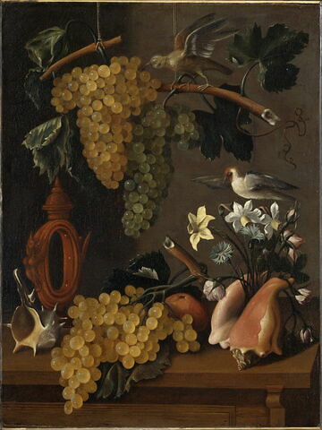 Nature morte aux raisins, fleurs et coquillages