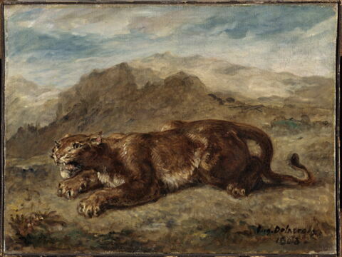 Lionne prête à s'élancer, image 3/3