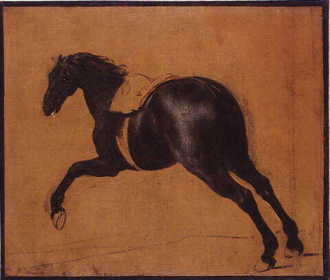 Cheval noir galopant, image 7/7